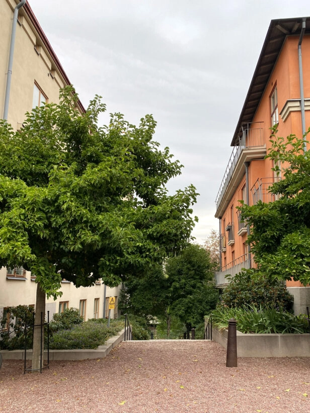 Brunnberg Forshed Stadsvandring St Eriksområdet